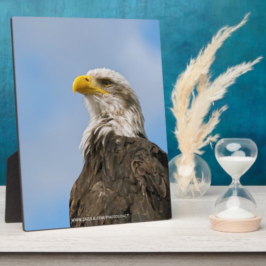 Plaque Photo Portrait d'aigle américain dans la nature (Côté)