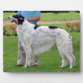 Plaque Photo Portrait de Borzoi (Devant)