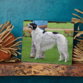 Plaque Photo Portrait de Borzoi (Côté)