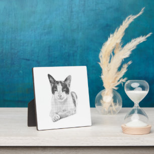 Plaque Photo Portrait de chat en demi-teinte