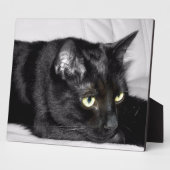Plaque Photo Portrait de chat noir mignon (Côté)