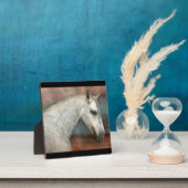 Plaque Photo Portrait de Cheval Andalou Gris Dappé (Insitu)