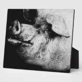 Plaque Photo portrait de cochon (Côté)
