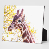 Plaque Photo Portrait de Giraffe (Côté)