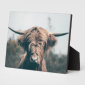 Plaque Photo Portrait de vache Highland (Côté)