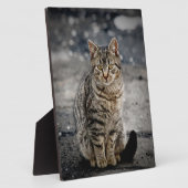 Plaque Photo Portrait d'un chat (Côté)