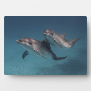 Plaque Photo Pose joueuse