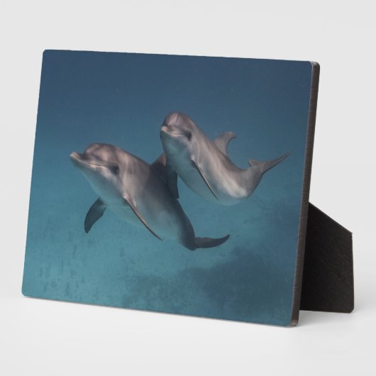 Plaque Photo Pose joueuse (Côté)