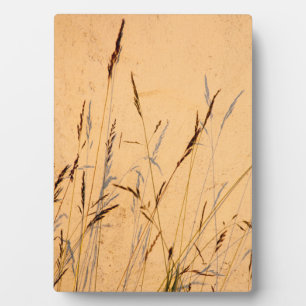 Plaque Photo Poster Acrylique Carte Postale Grasses Et Ombres D