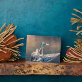 Plaque Photo Poster photo de Duck Nature (Côté)