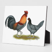 Plaque Photo Poule bleue du Delaware (Côté)