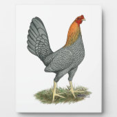 Plaque Photo Poule de Combat Bleu Rouge (Devant)