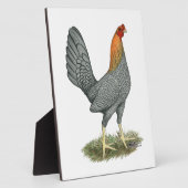 Plaque Photo Poule de Combat Bleu Rouge (Côté)