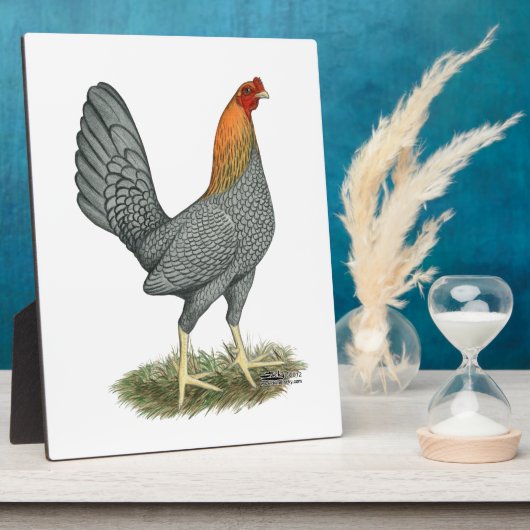Plaque Photo Poule de Combat Bleu Rouge (Côté)