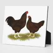 Plaque Photo Poules Buckeye (Côté)