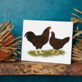 Plaque Photo Poules Buckeye (Côté)