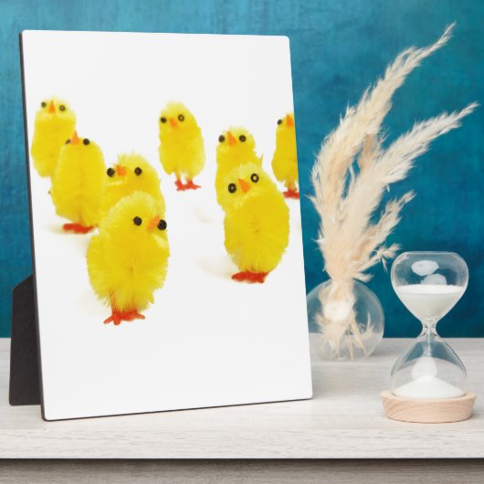 Plaque Photo poules mignonnes (Côté)