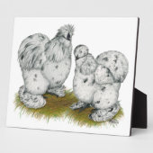 Plaque Photo Poulet à éclaboussures de Silkie Bantam (Côté)