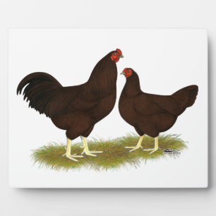Plaque Photo Poulets de Buckeye