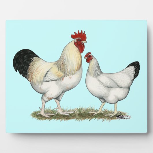 Plaque Photo Poulets de la rivière Indian (Devant)