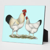 Plaque Photo Poulets de la rivière Indian (Côté)