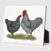 Plaque Photo Poulets de Maline (Côté)
