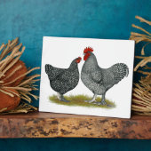 Plaque Photo Poulets de Maline (Côté)