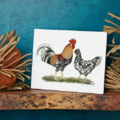 Plaque Photo Poulets islandais (Côté)