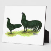 Plaque Photo Poulets noirs de Sumatra (Côté)