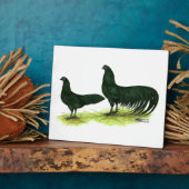 Plaque Photo Poulets noirs de Sumatra (Côté)