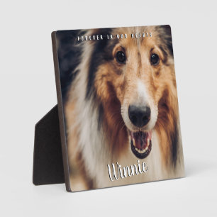 Plaque Photo Pour toujours dans nos coeurs Photo Pet Keepsaké M