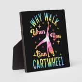 Plaque Photo Pourquoi Marcher Quand Vous Pouvez Carrousel (Recto)