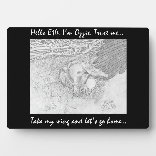 PLAQUE PHOTO PRECIEUX E14 PRENANT L'AILE D'OZZIE RENTRONS-NOUS (Devant)