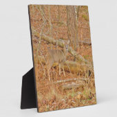 Plaque Photo Premier hiver du Cerf de Bébé (Côté)