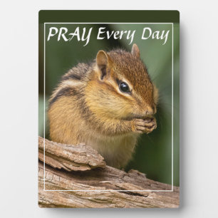 Plaque Photo Priez chaque jour Chipmunk