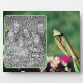 Plaque Photo Priez Mantis Créez Votre Propre Photo (Devant)