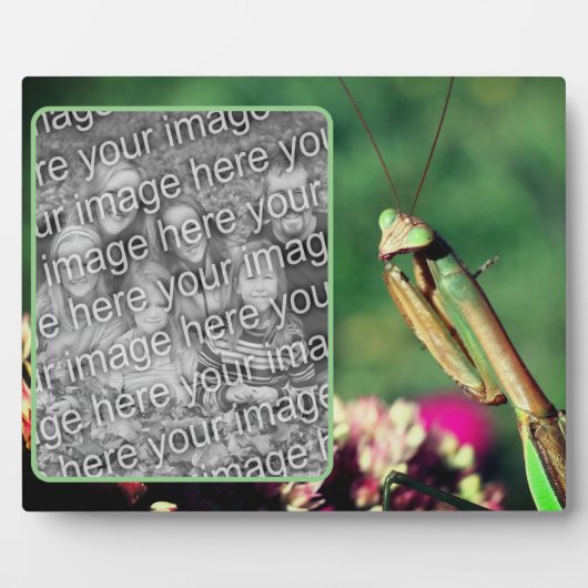 Plaque Photo Priez Mantis Créez Votre Propre Photo (Devant)