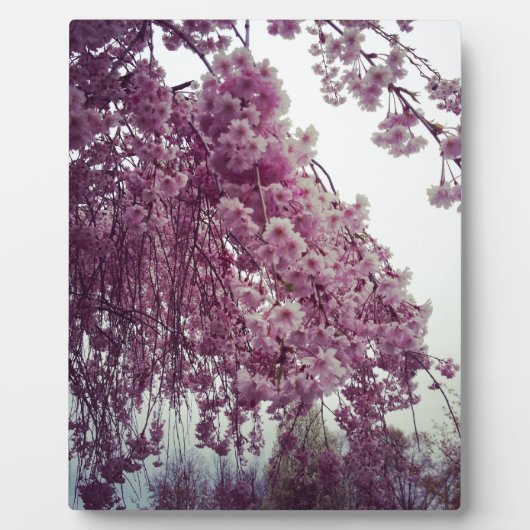 Plaque Photo Printemps (Devant)