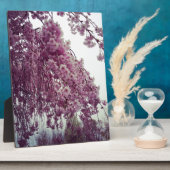 Plaque Photo Printemps (Côté)