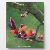Plaque Photo Printemps (Devant)