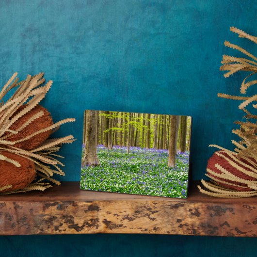 Plaque Photo Printemps dans la forêt bleue (Côté)