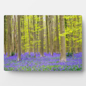 Plaque Photo Printemps dans la forêt bleue (Devant)