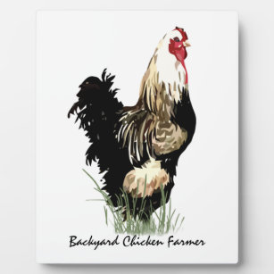 Plaque Photo Producteur de poulet jardin avec design de coq