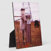 Plaque Photo Propriété privée lavender Horse (Côté)