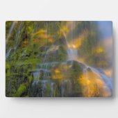 Plaque Photo Proxy Falls Three Sisters Wilderness Oregon (Devant)