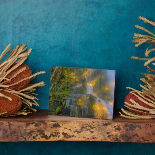 Plaque Photo Proxy Falls Three Sisters Wilderness Oregon (Côté)