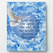 Plaque Photo Psaume 17:8 (Devant)