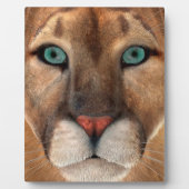 Plaque Photo Puma (Devant)