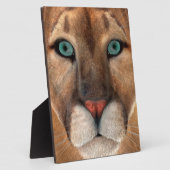Plaque Photo Puma (Côté)