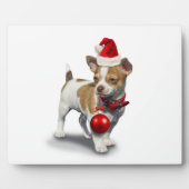 Plaque Photo Puppy with christmas a et balle (Devant)